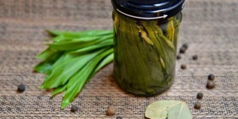 Kako marinirati divlji beli luk